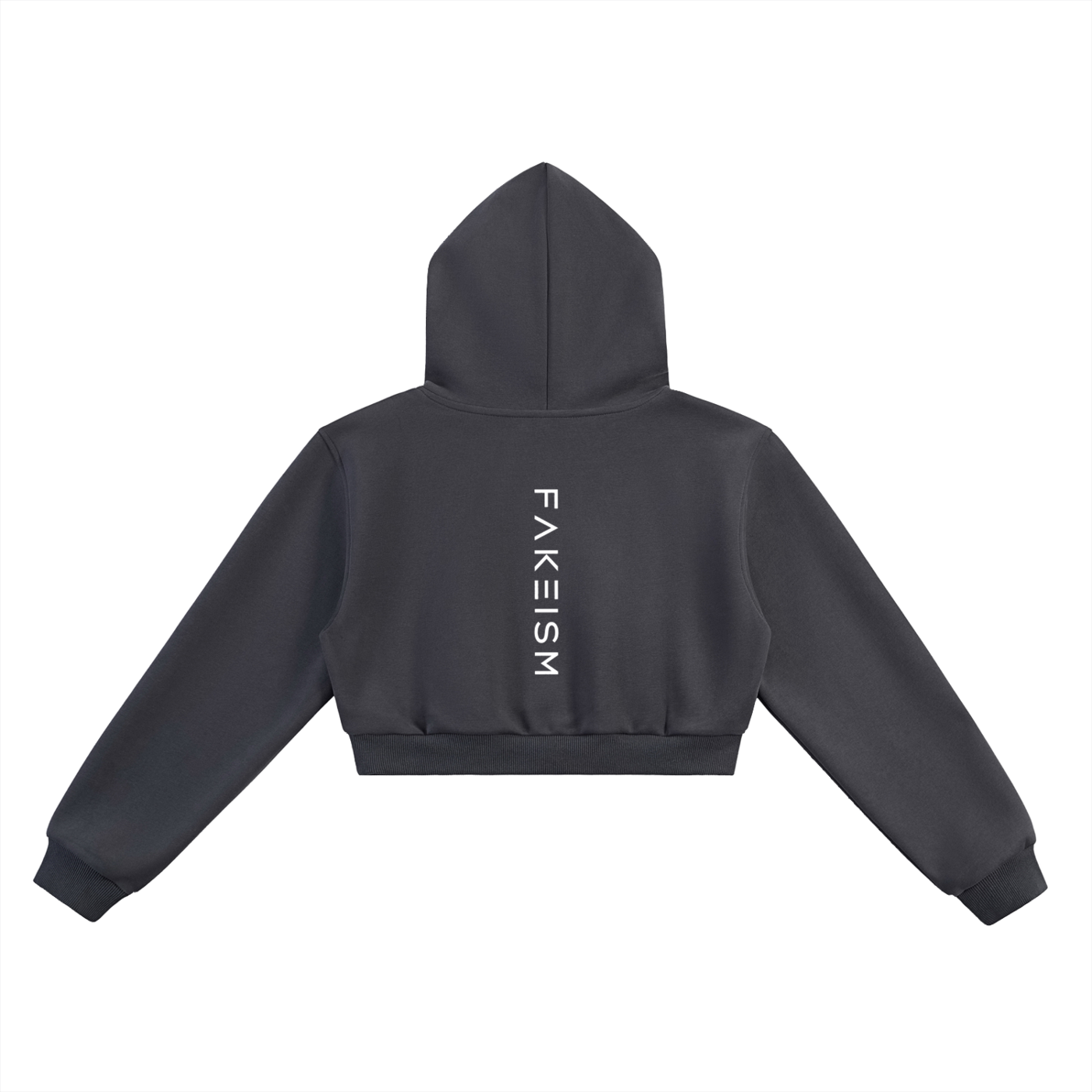 FAKEISM Past To Future Cropped Hoodie —